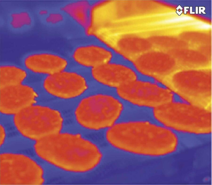 Termokamera FLIR A65 pro průmysl