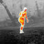 Termovize FLIR Scout Pro III